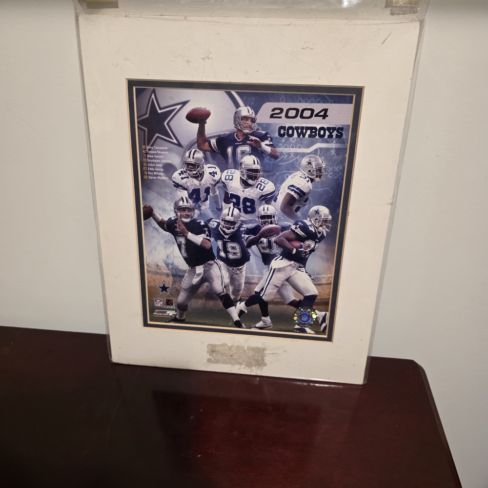 2004 Dallas Cowboys Team Photo Collage (Officially Licensed NFL Collectible)